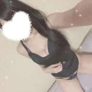 ヒメ日記 2025/10/29 05:07 投稿 アヤノ(奥方) 奥様幕府