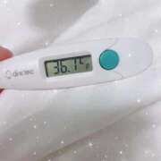 ヒメ日記 2026/01/14 13:37 投稿 アヤノ(奥方) 奥様幕府