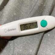 ヒメ日記 2026/01/16 14:37 投稿 アヤノ(奥方) 奥様幕府