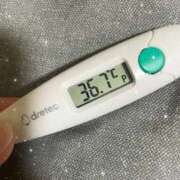 ヒメ日記 2026/01/26 13:07 投稿 アヤノ(奥方) 奥様幕府