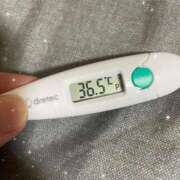 ヒメ日記 2026/01/27 12:37 投稿 アヤノ(奥方) 奥様幕府