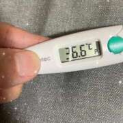 ヒメ日記 2026/01/30 11:07 投稿 アヤノ(奥方) 奥様幕府