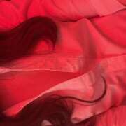 ヒメ日記 2024/12/26 18:51 投稿 りう banana