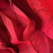 ヒメ日記 2025/05/02 21:19 投稿 りう banana