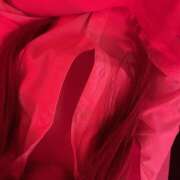 ヒメ日記 2025/05/04 20:22 投稿 りう banana