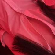 ヒメ日記 2025/07/06 16:03 投稿 りう banana