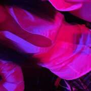 ヒメ日記 2025/08/31 01:04 投稿 りう banana