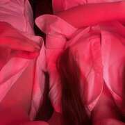 ヒメ日記 2025/09/19 21:13 投稿 りう banana