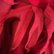 ヒメ日記 2025/10/14 20:22 投稿 りう banana