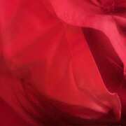 ヒメ日記 2026/01/24 20:27 投稿 りう banana