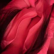 ヒメ日記 2026/03/13 01:31 投稿 りう banana