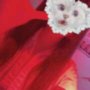 ヒメ日記 2026/03/26 01:37 投稿 りう banana