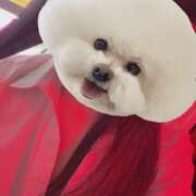 りう ねむいさん🐶 banana