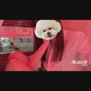 ヒメ日記 2026/06/14 23:50 投稿 りう banana