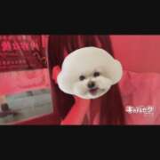 ヒメ日記 2026/06/16 00:39 投稿 りう banana