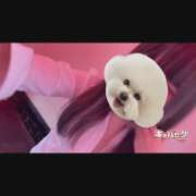ヒメ日記 2026/06/17 03:31 投稿 りう banana