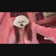 ヒメ日記 2026/07/10 00:30 投稿 りう banana