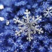 ヒメ日記 2026/01/29 16:46 投稿 れお 奥様はエンジェル　立川店