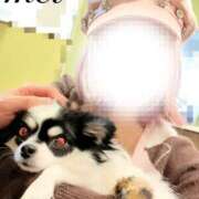 ヒメ日記 2025/10/28 20:33 投稿 芽衣（メイ） アロマ新横浜