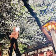 ヒメ日記 2026/02/11 20:28 投稿 芽衣（メイ） アロマ新横浜