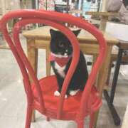 ヒメ日記 2026/02/23 19:29 投稿 芽衣（メイ） アロマ新横浜