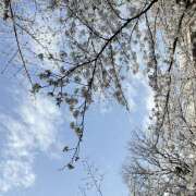 ヒメ日記 2025/03/30 18:36 投稿 まりこ 竹内マッサージ