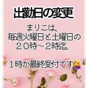 ヒメ日記 2025/07/08 08:10 投稿 まりこ 竹内マッサージ