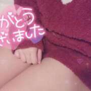 ヒメ日記 2025/02/20 05:00 投稿 おとは 子猫カフェ 小倉店