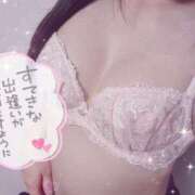 ヒメ日記 2025/02/21 12:16 投稿 おとは 子猫カフェ 小倉店