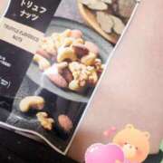 ヒメ日記 2025/02/26 21:31 投稿 おとは 子猫カフェ 小倉店