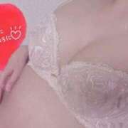 ヒメ日記 2025/04/12 11:31 投稿 おとは 子猫カフェ 小倉店