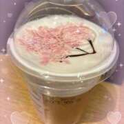 ヒメ日記 2026/02/24 14:15 投稿 ほの 池袋あられ