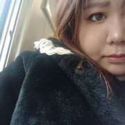 ヒメ日記 2024/12/17 18:29 投稿 ぬぬ 大阪和泉ちゃんこ