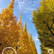 ヒメ日記 2025/11/21 12:14 投稿 ゆに 池袋あられ