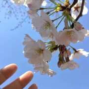 ヒメ日記 2026/03/14 07:38 投稿 優里(ゆうり) PLUS十三店