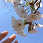 ヒメ日記 2026/03/24 21:58 投稿 優里(ゆうり) PLUS十三店