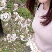 ヒメ日記 2026/03/30 16:19 投稿 優里(ゆうり) PLUS十三店