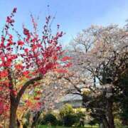 ヒメ日記 2026/04/05 07:48 投稿 優里(ゆうり) PLUS十三店