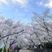 ヒメ日記 2026/04/06 17:58 投稿 優里(ゆうり) PLUS十三店