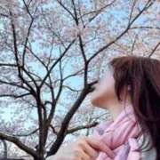 ヒメ日記 2026/04/08 08:48 投稿 優里(ゆうり) PLUS十三店