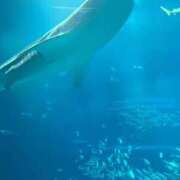 ヒメ日記 2026/04/21 08:58 投稿 優里(ゆうり) PLUS十三店