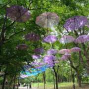 ヒメ日記 2026/06/21 13:07 投稿 優里(ゆうり) PLUS十三店
