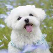 ヒメ日記 2024/12/24 06:33 投稿 あお若奥 未熟な若奥