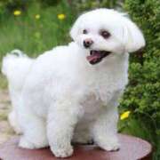 ヒメ日記 2025/04/12 07:03 投稿 あお若奥 未熟な若奥