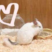 ヒメ日記 2026/02/23 21:33 投稿 あお若奥 未熟な若奥