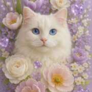 ヒメ日記 2025/09/19 16:26 投稿 美奈萌 久留米デリヘルセンター