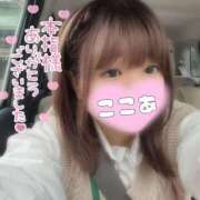 ヒメ日記 2025/06/14 16:22 投稿 ここあ 30分3900円！サンキュー静岡店（サンキューグループ）