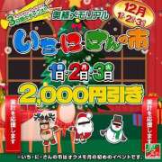 ヒメ日記 2024/12/02 09:18 投稿 ひばり 奥様メモリアル