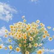 ヒメ日記 2025/10/08 22:50 投稿 あおい アイムシェイク