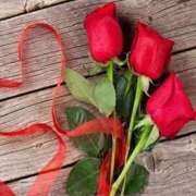 ヒメ日記 2025/10/13 12:35 投稿 あおい アイムシェイク